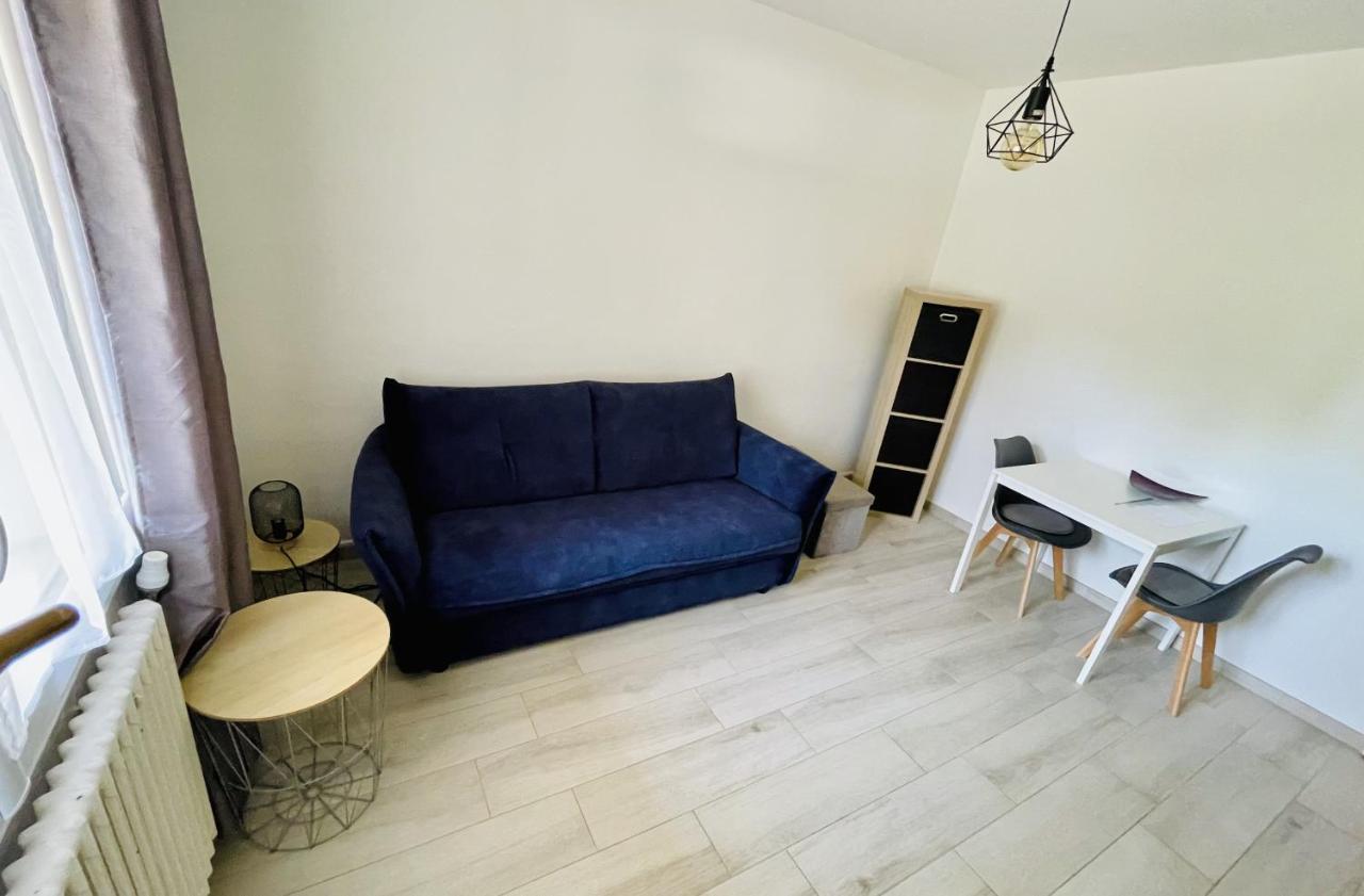 Magnifique Studio Independant Au Rez-De-Chaussee Tassin-la-Demi-Lune Dış mekan fotoğraf